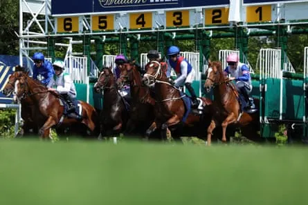 Caballo saliendo de los cajones de salida en un hipódromo, imagen que acompaña el impacto potencial de la regulación sobre las apuestas hípicas